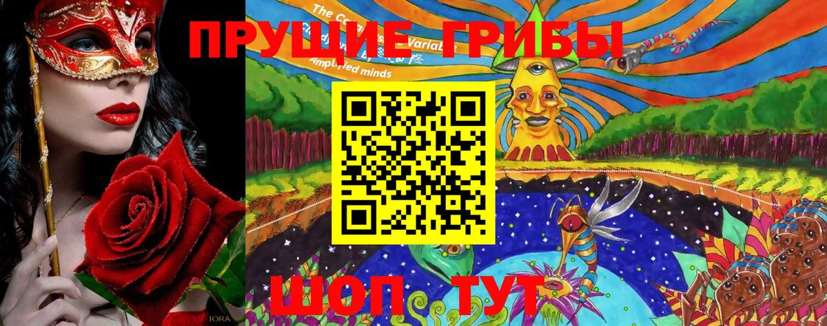 Новокубанск  где найти наркотики  Вход с VPN  Галлюциногенные грибы ЛСД 